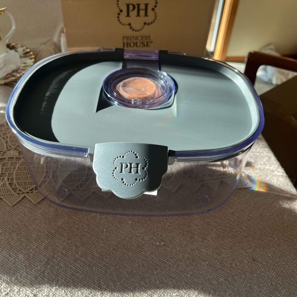 Princess House Gray and Clear Storage Container
